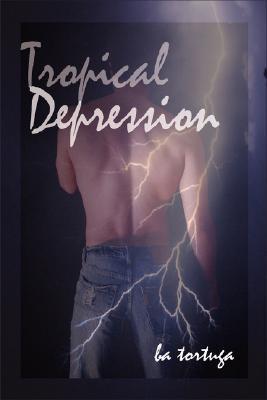 Stormy Weather book cover 2