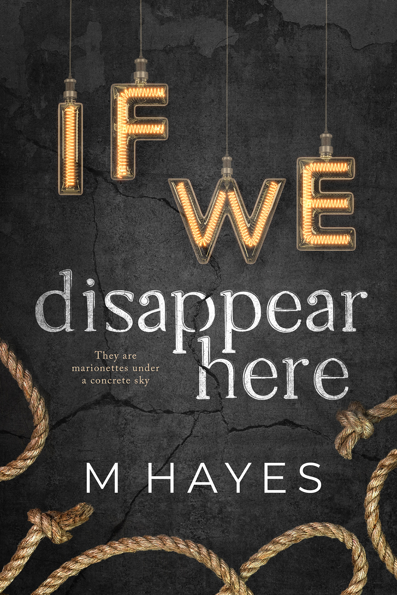 If We Disappear Here book cover