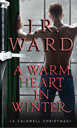 A Warm Heart in Winter book cover