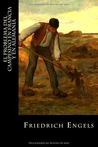 The Peasant Question in France and Germany book cover