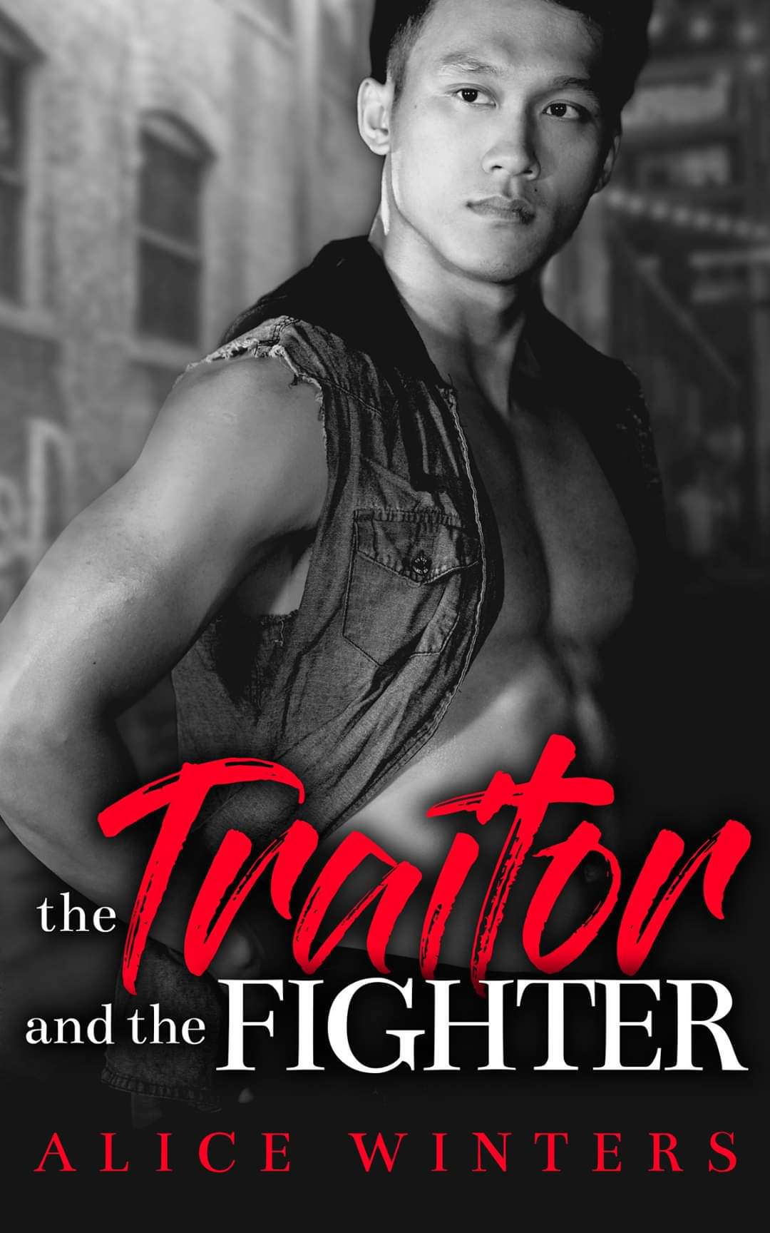 Seeking Asylum book cover 2