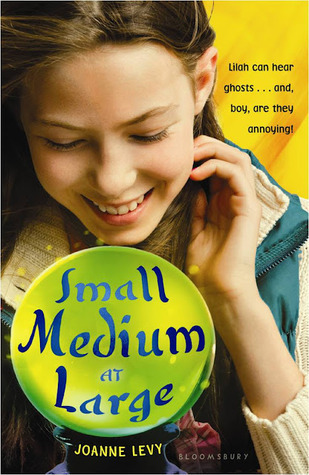 Small Medium at Large book cover