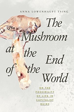 The Mushroom at the End of the World book cover