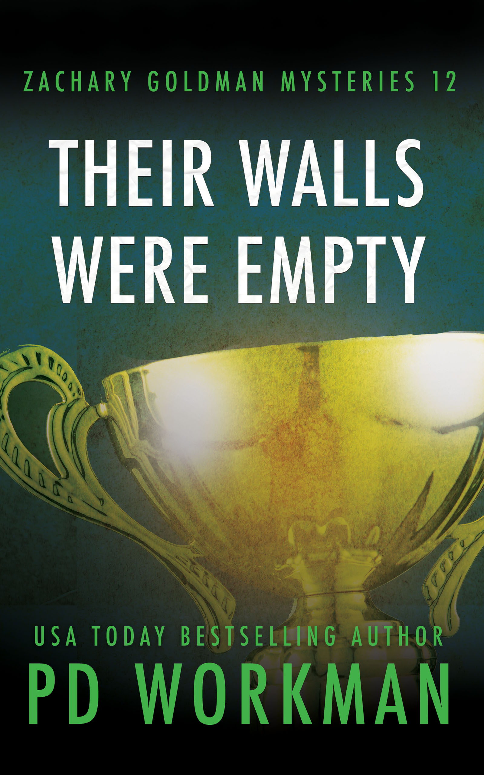 Their Walls Were Empty book cover