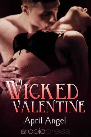 Sizzling Encounters book cover 2