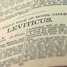 Bible book cover 3
