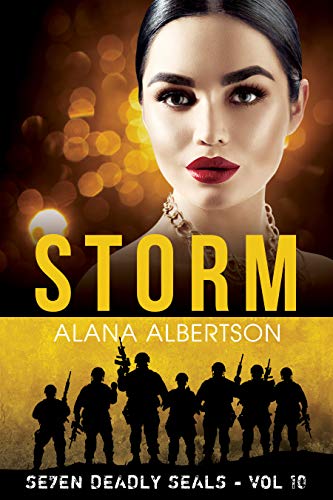 Storm book cover