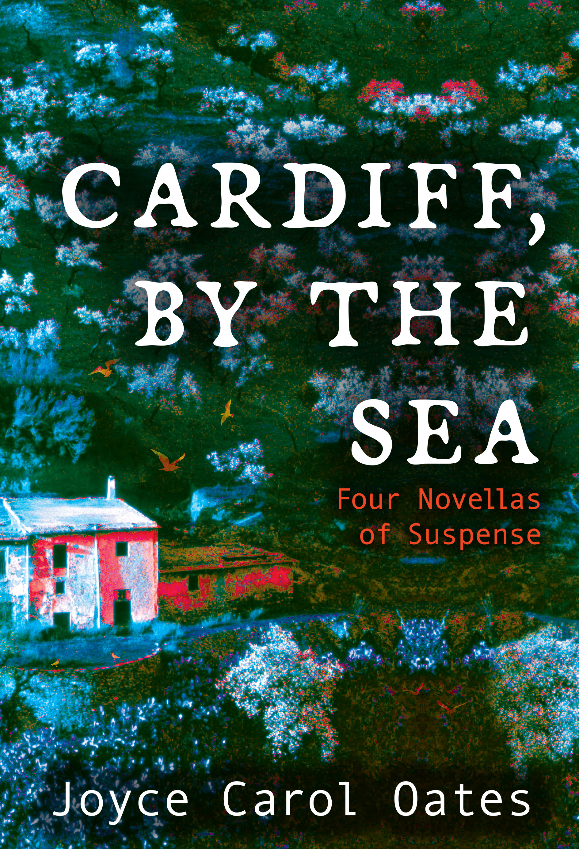 Cardiff, by the Sea book cover
