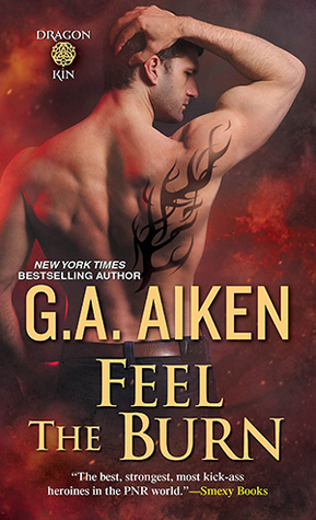 Feel the Burn book cover