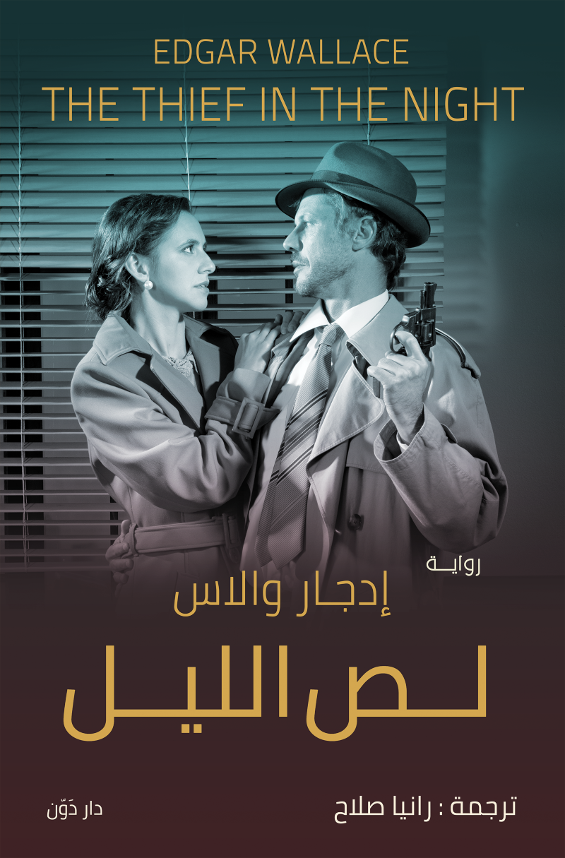The Night Thief book cover