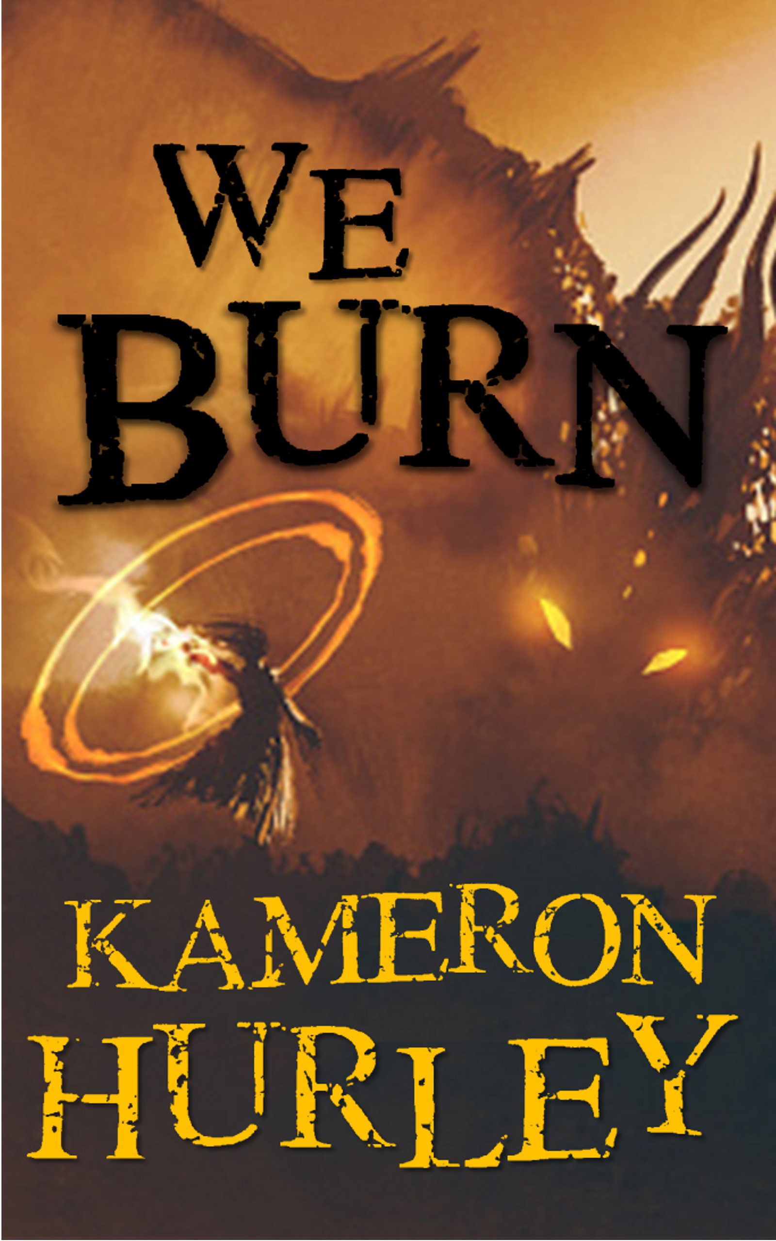 We Burn book cover