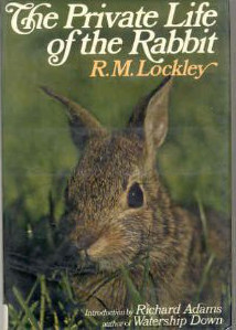 The Private Life of the Rabbit book cover