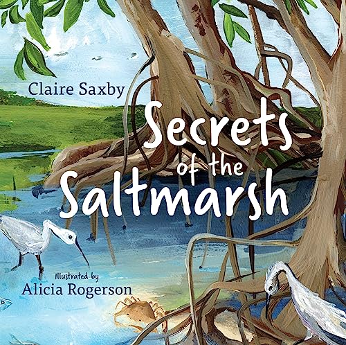 Secrets of the Saltmarsh book cover