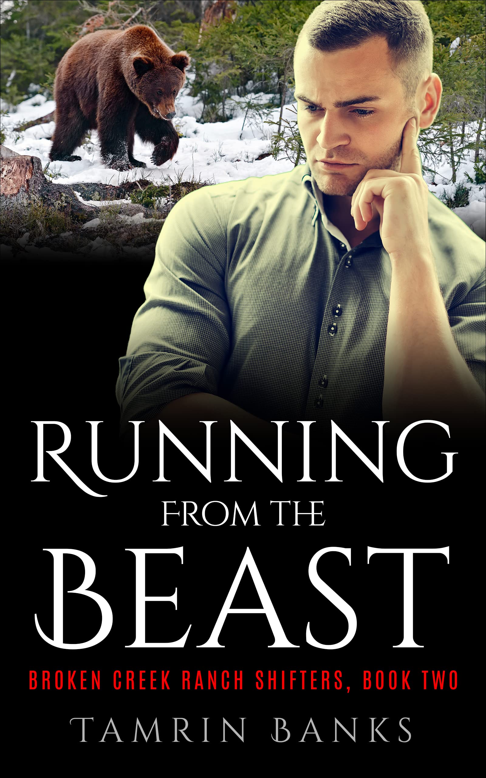 Running From the Beast book cover