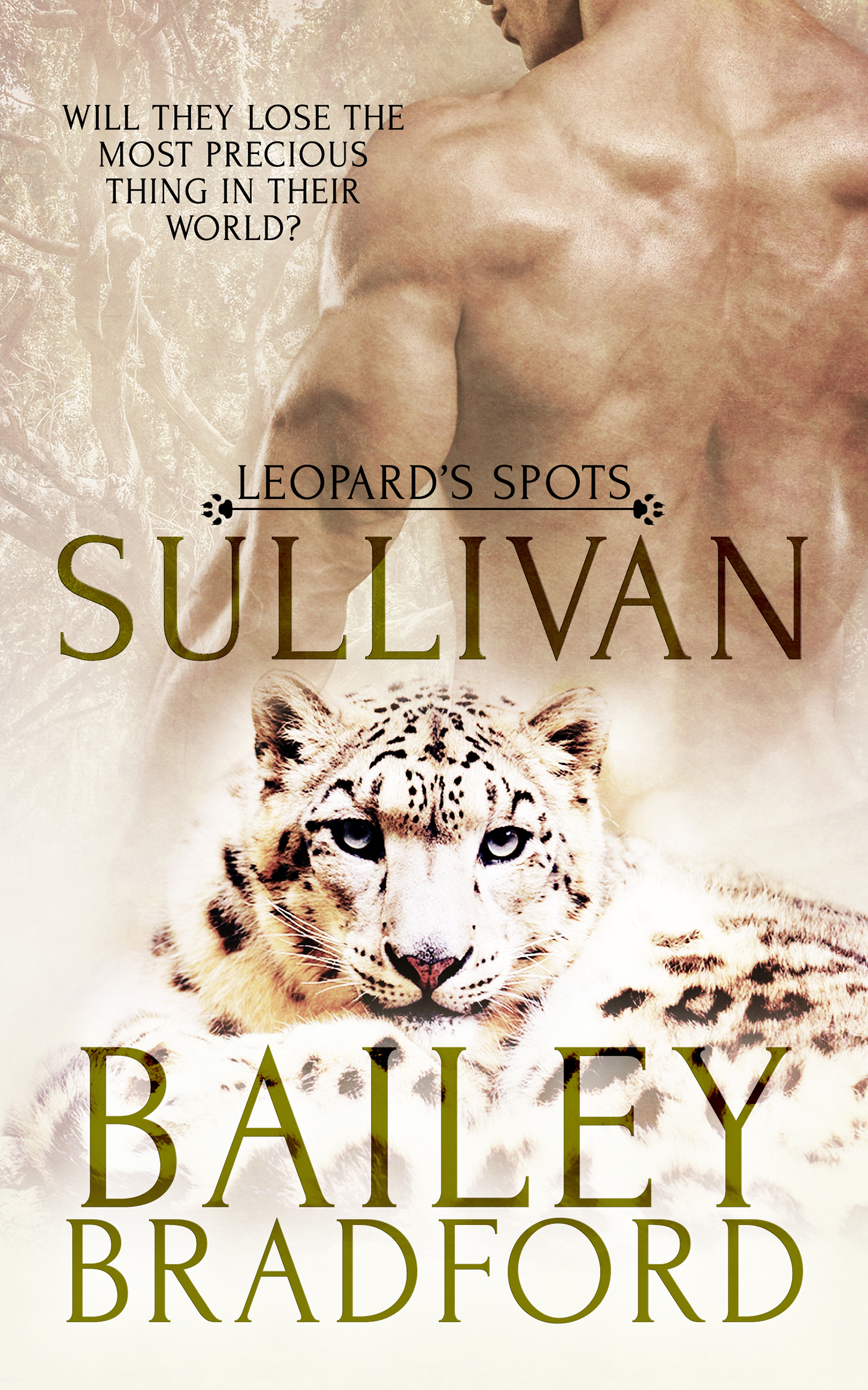 Sullivan book cover