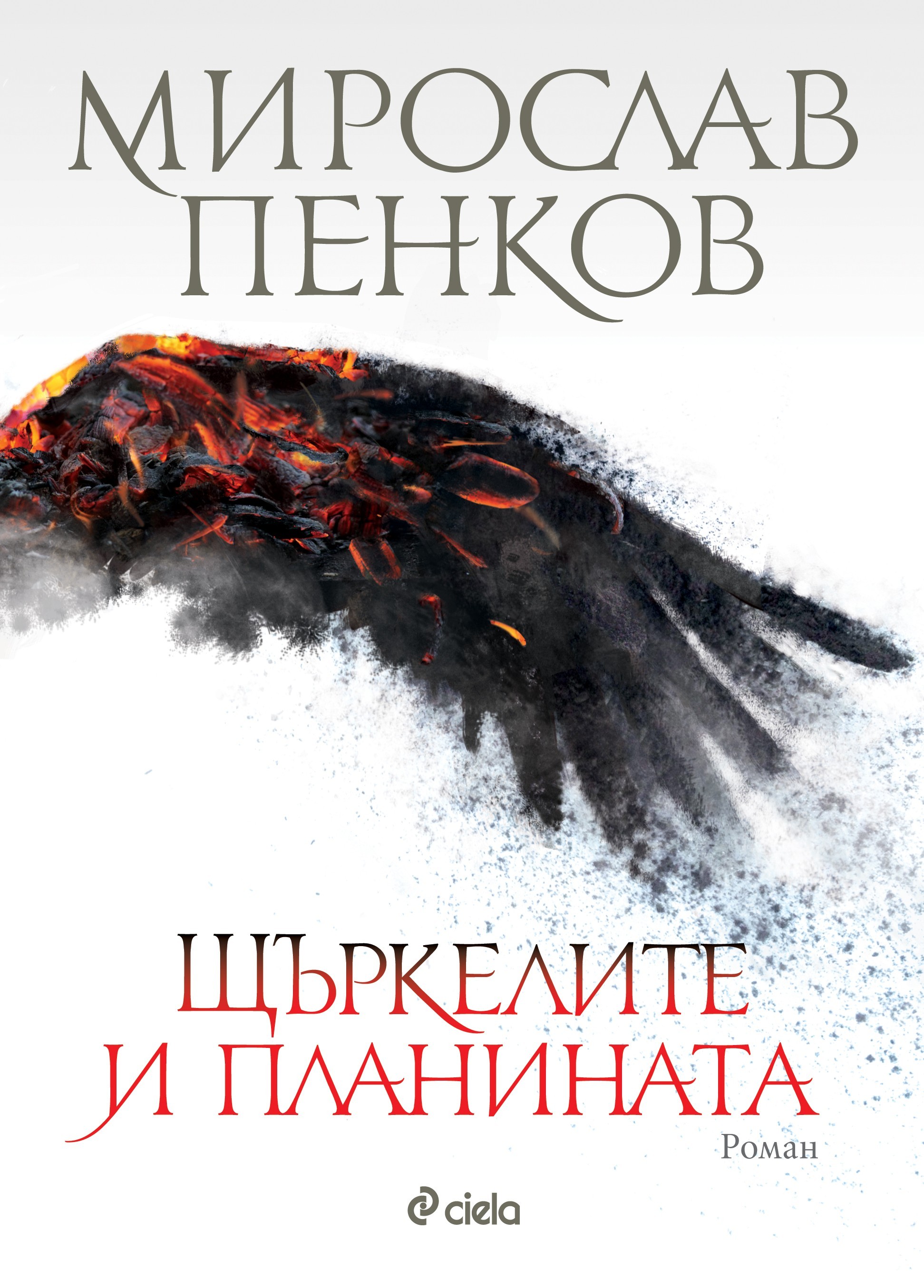 Stork Mountain book cover