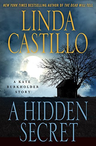 A Hidden Secret book cover