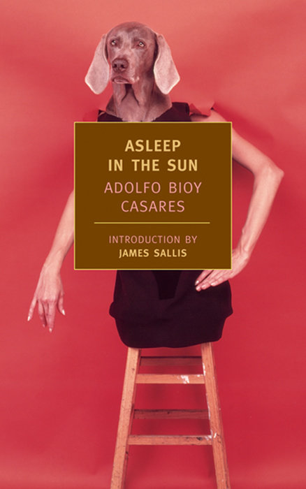 Asleep in the Sun book cover