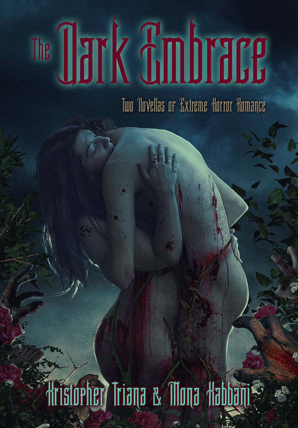 The Dark Embrace book cover