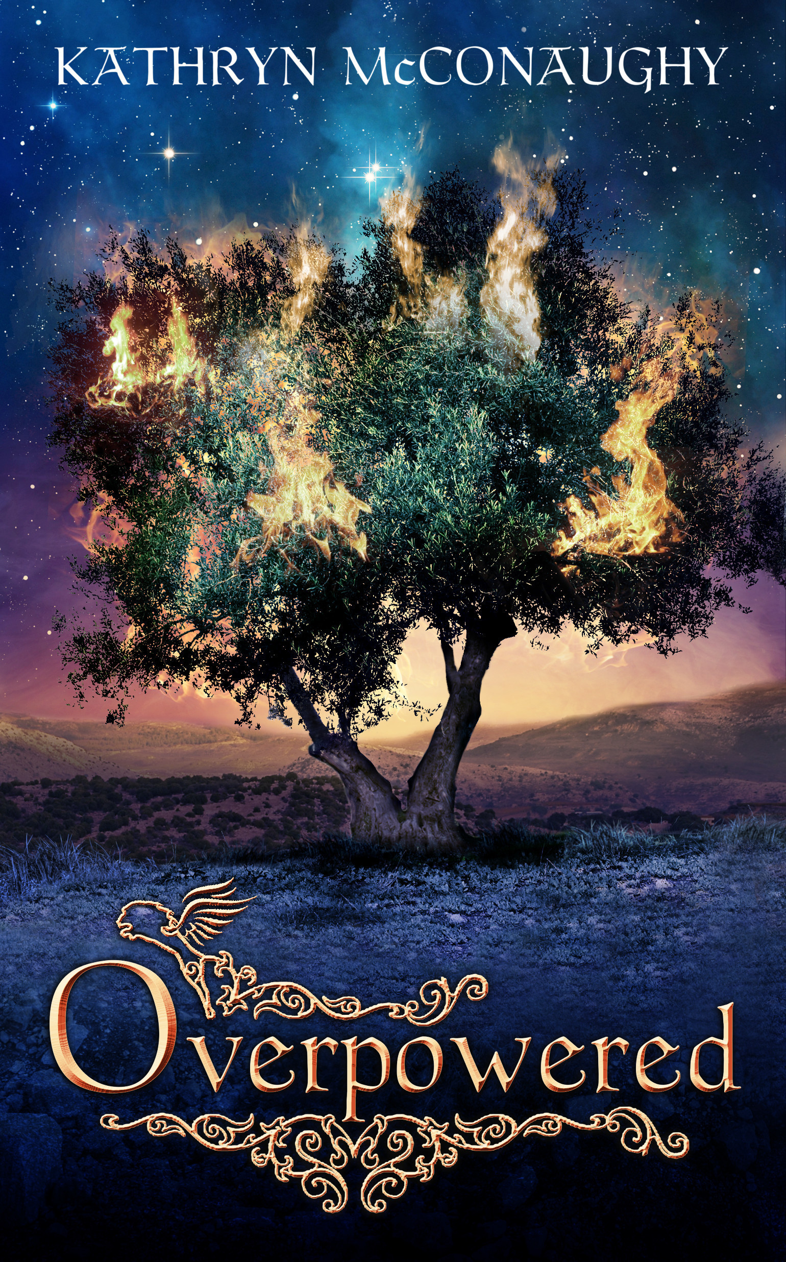 Overpowered book cover