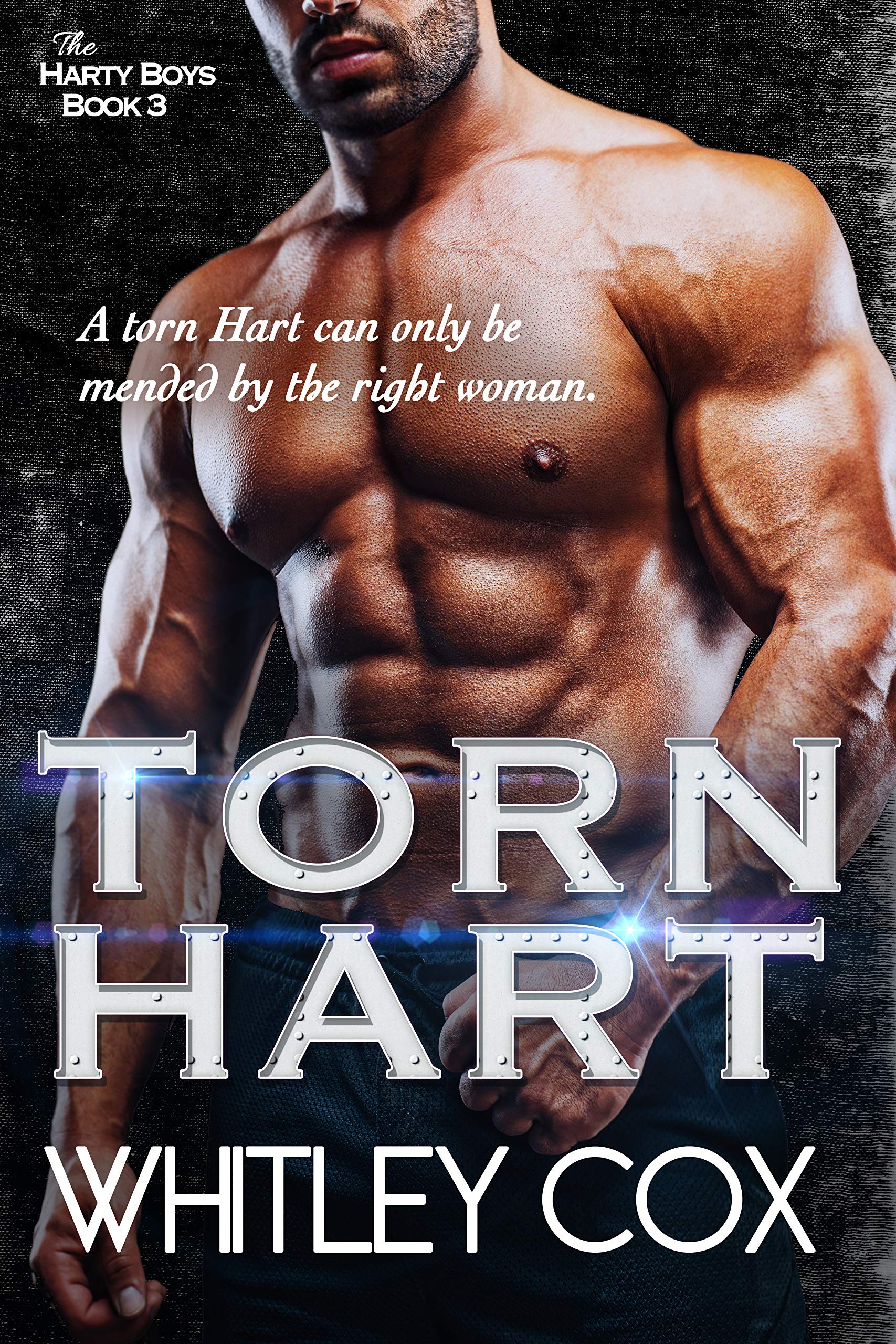 The Harty Boys book cover 3