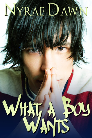 What a Boy Wants book cover 1