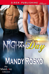 Night and Day book cover 1