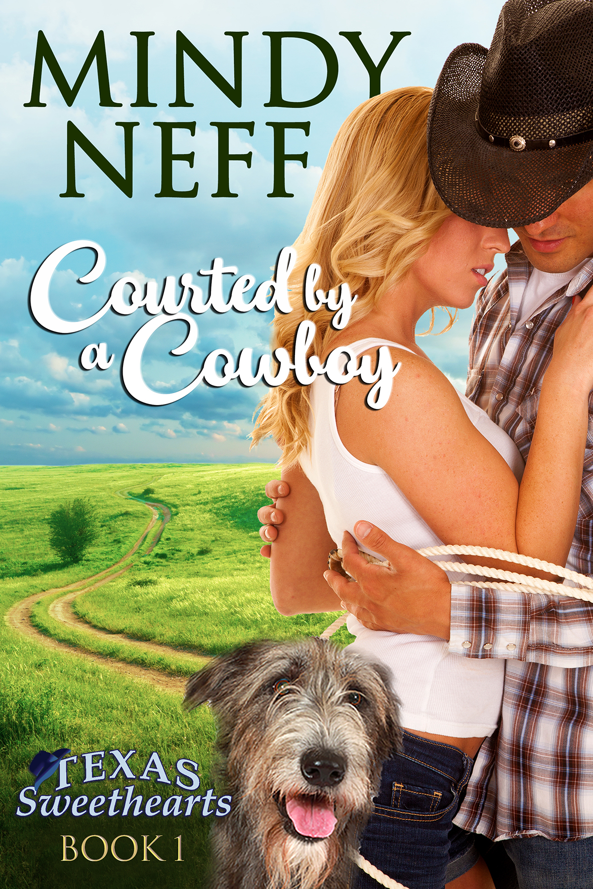 Texas Sweethearts book cover 1