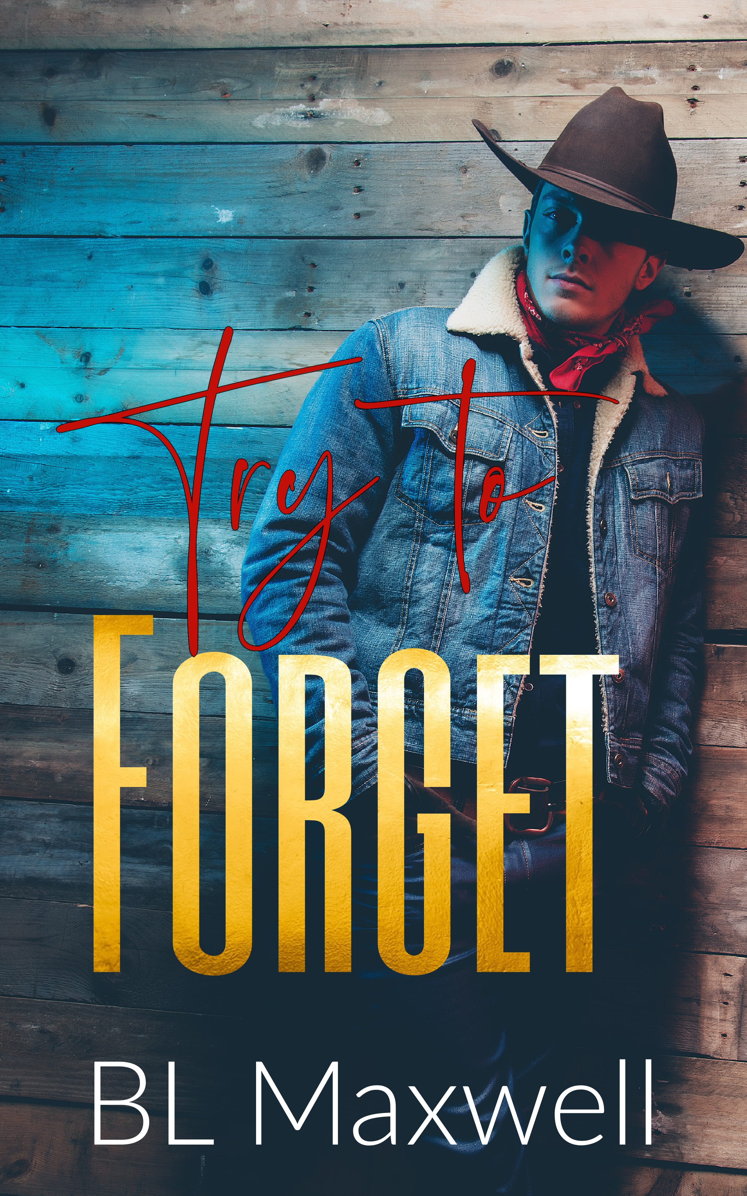 Remember When book cover 2