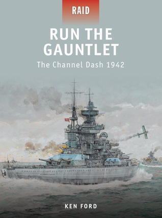 Run The Gauntlet book cover
