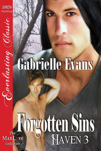 Haven book cover 3