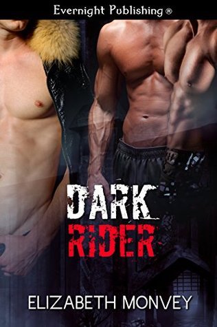 Dark Rider book cover 1