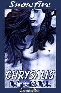 Arcada book cover 1