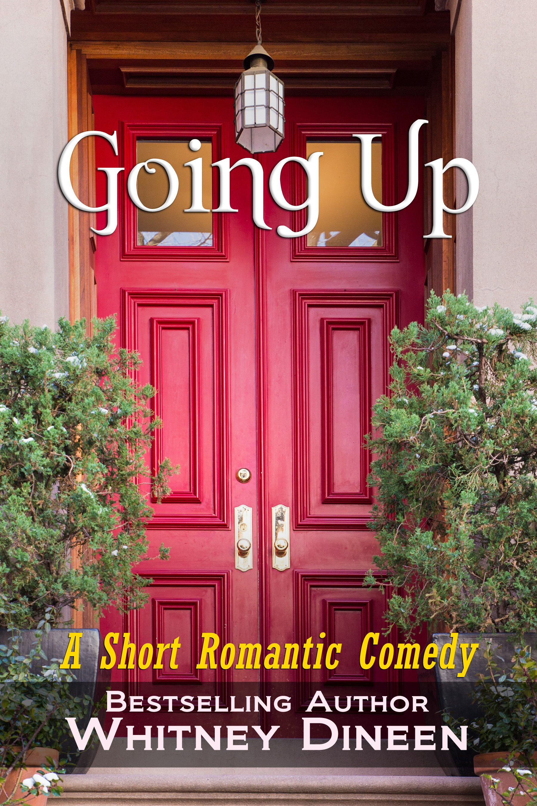 Going Up? book cover