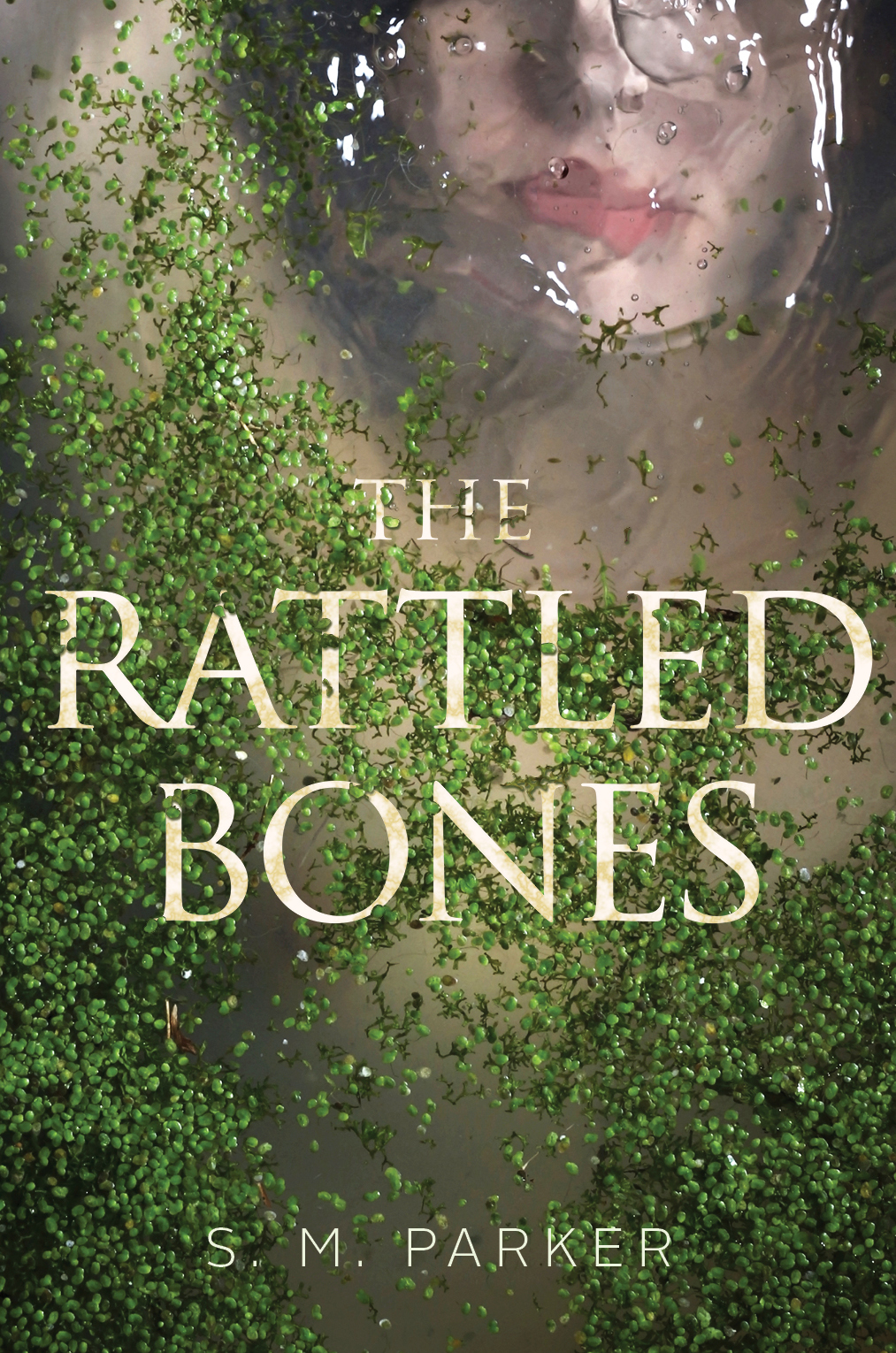 The Rattled Bones book cover