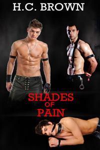 Shades of Pain book cover
