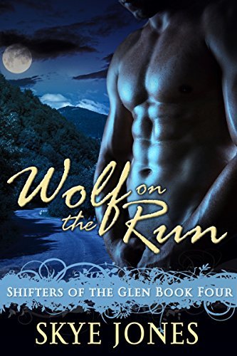 Wolf on the Run book cover