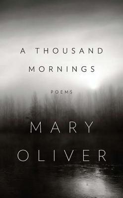 A Thousand Mornings book cover