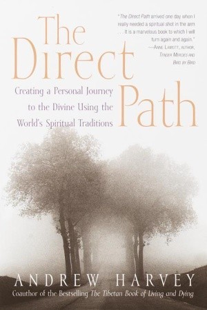 The Direct Path book cover