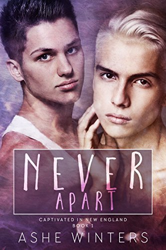 Captivated in New England book cover 1