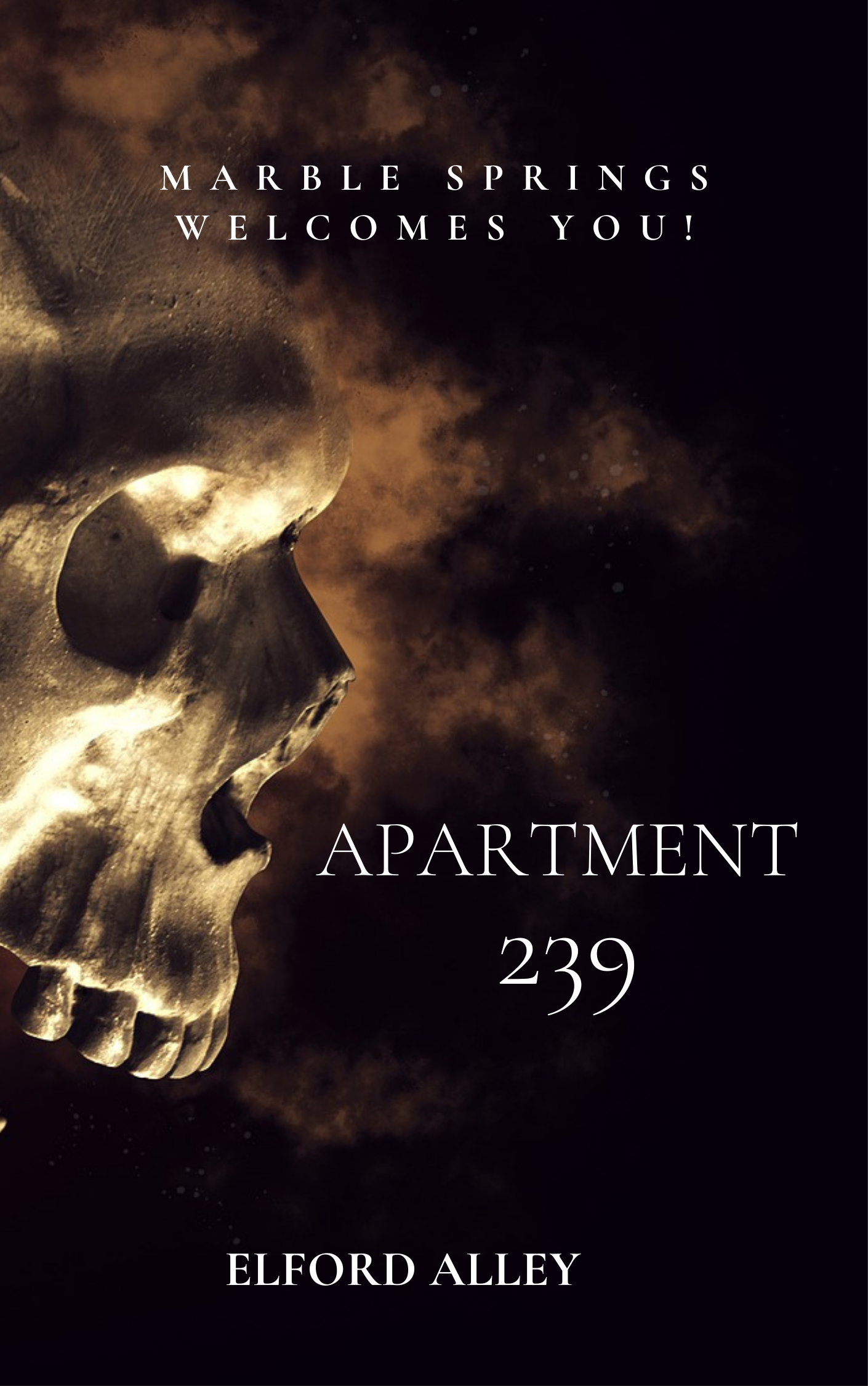 Apartment 239 book cover