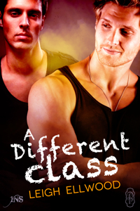 A Different Class book cover