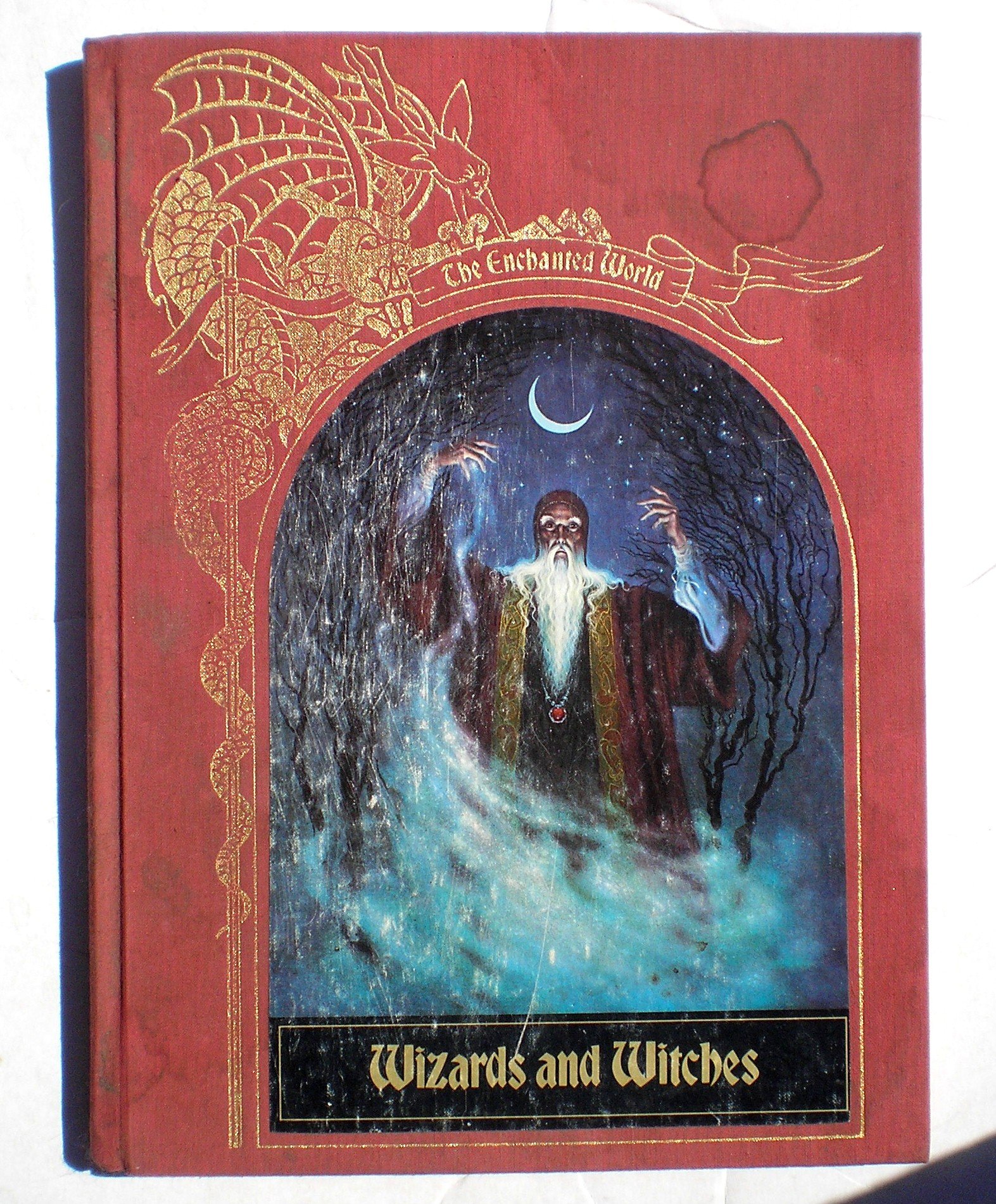 Wizards and Witches book cover