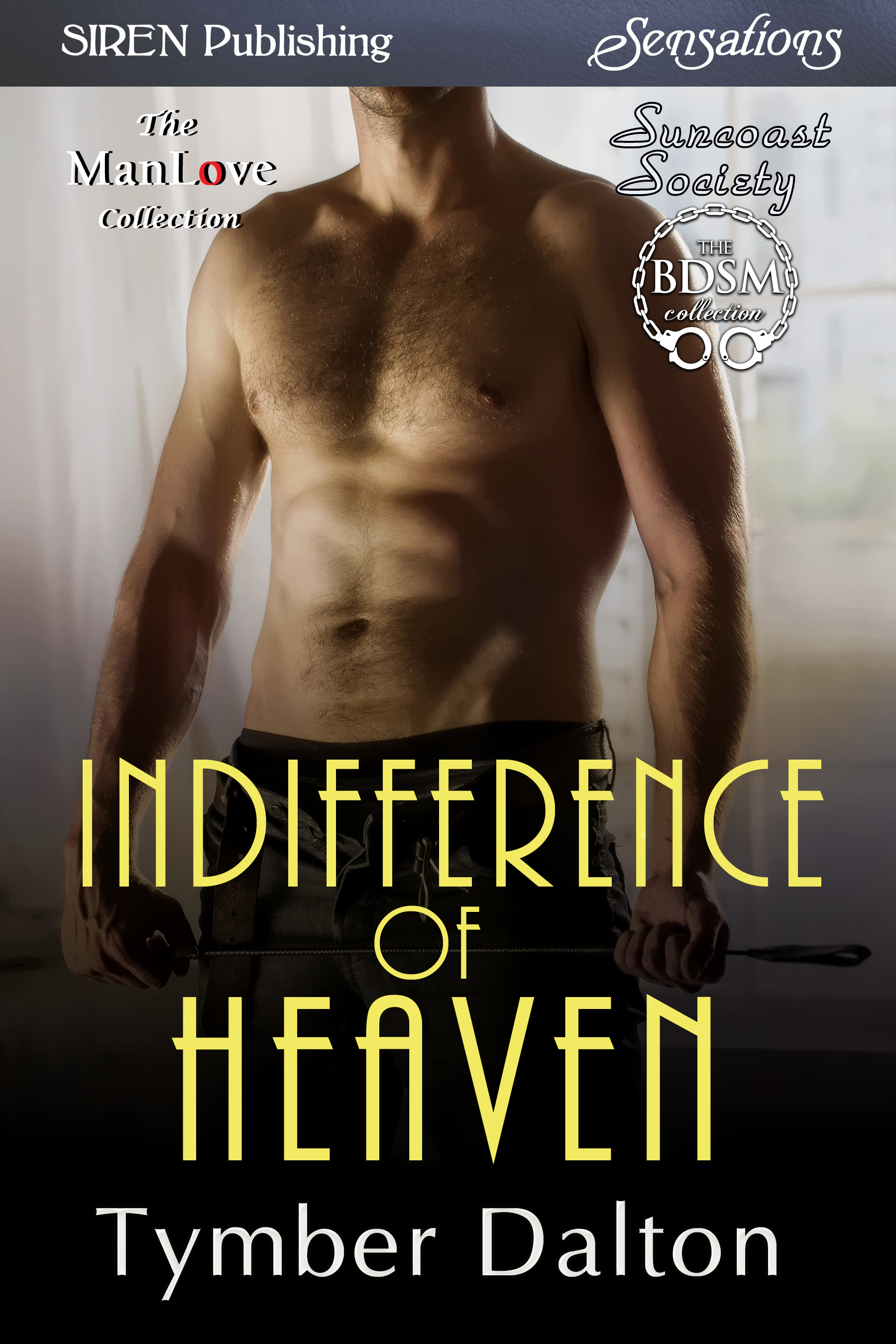 Indifference of Heaven book cover