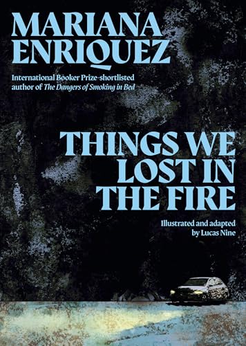 Things We Lost in the Fire book cover