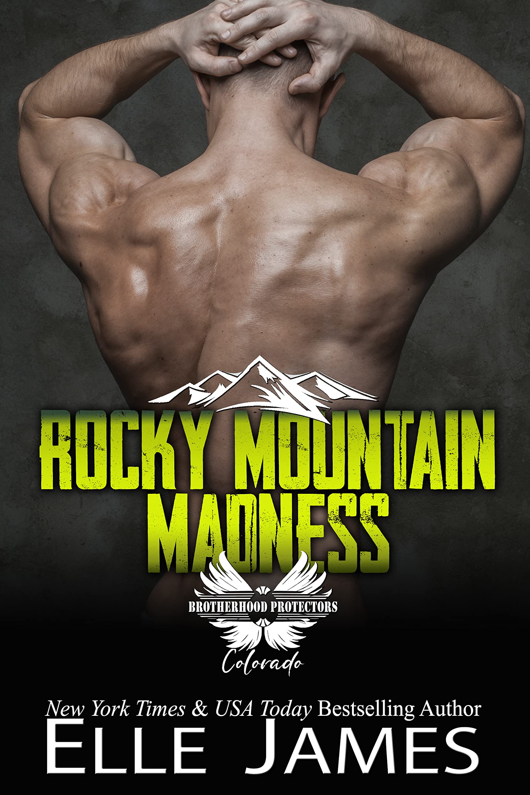 Rocky Mountain Madness book cover