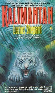 Kalimantan book cover