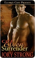 Elven Surrender book cover