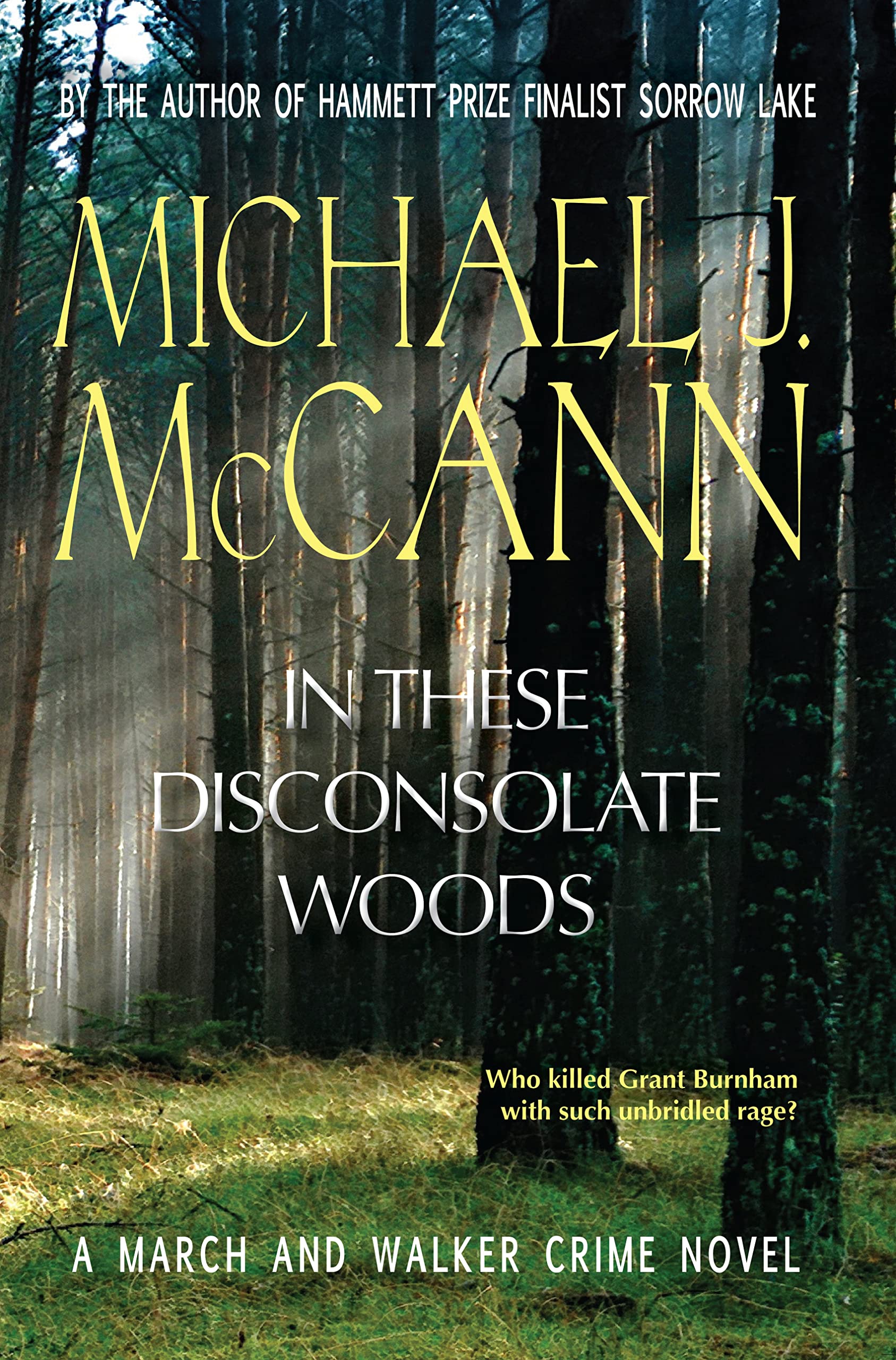 In These Disconsolate Woods book cover