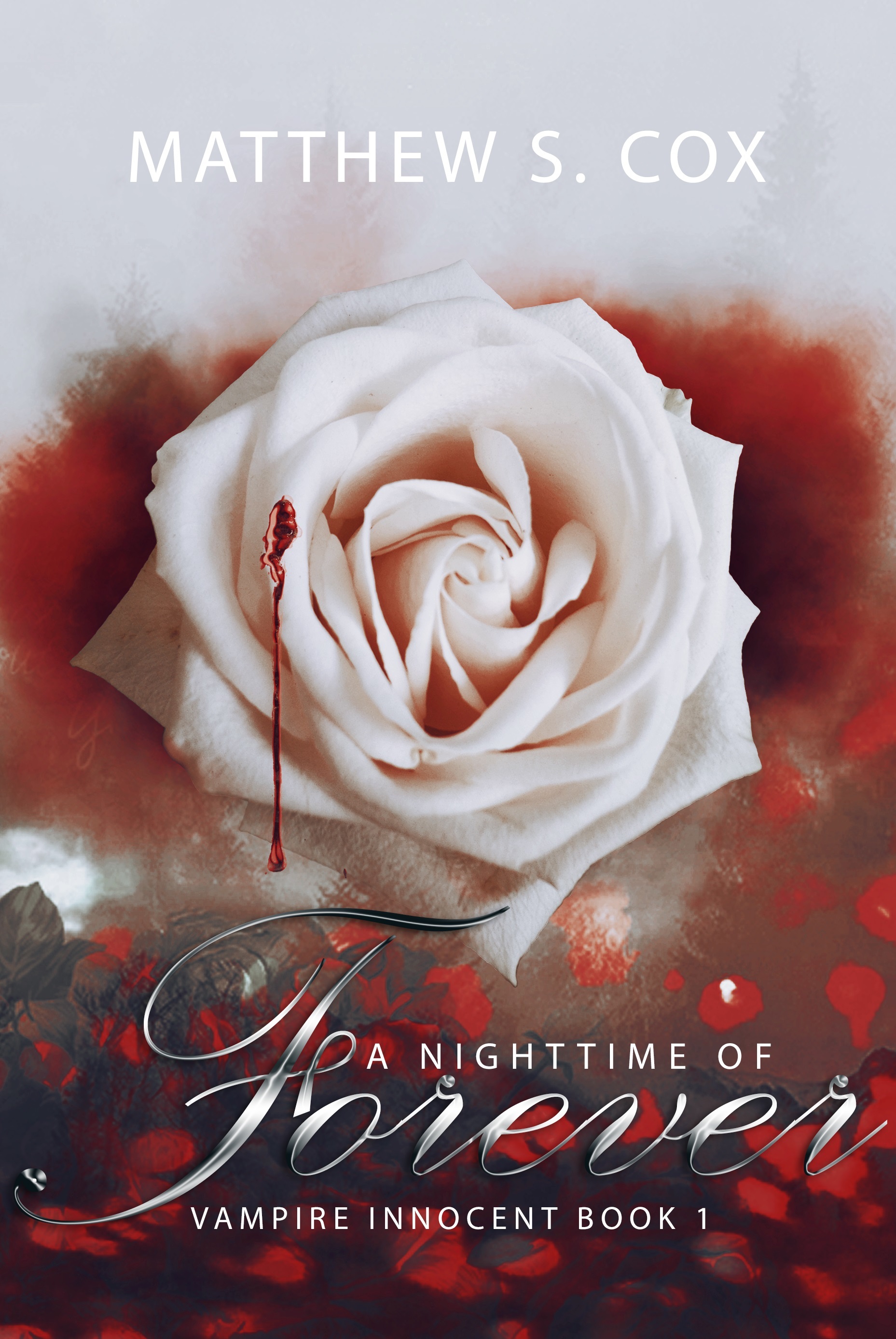 Vampire Innocent book cover 1